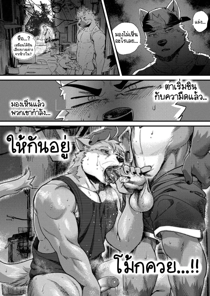 Page 13 of Park No. 3