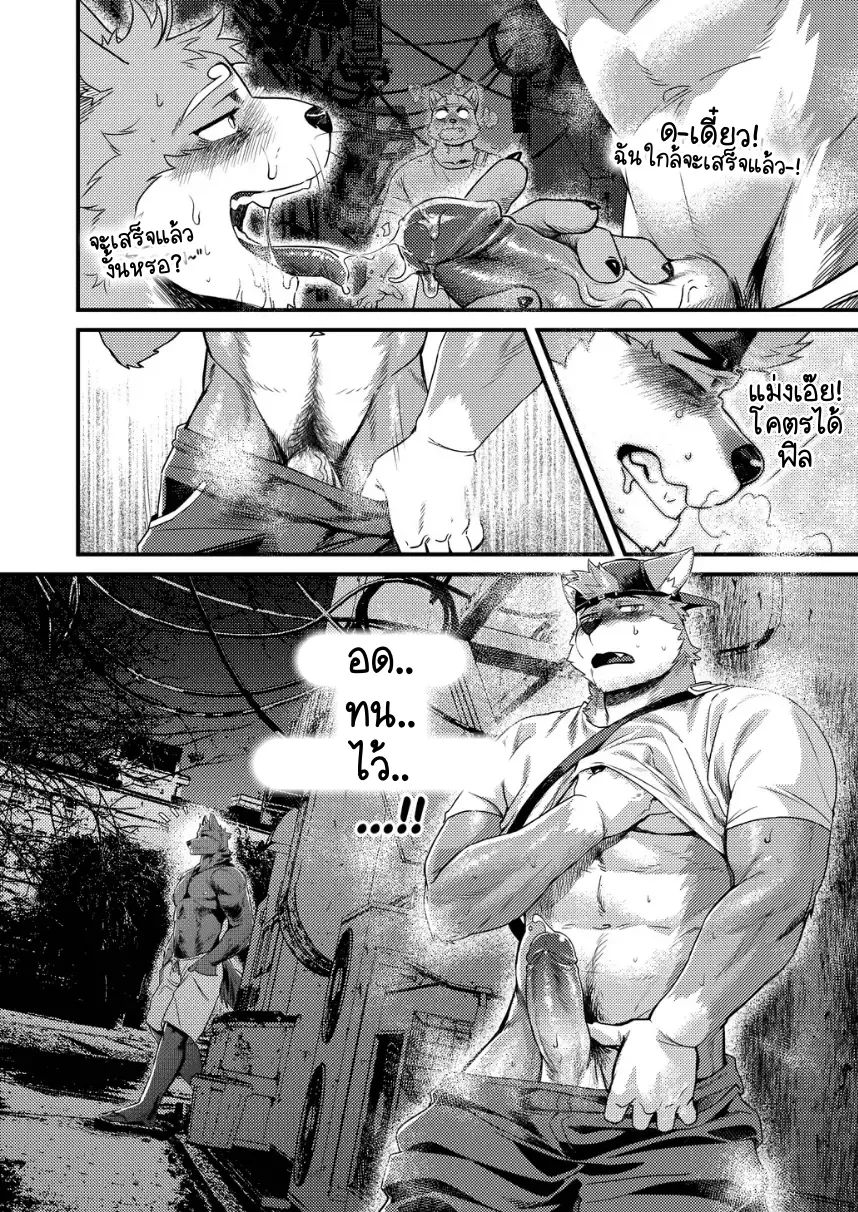 Page 15 of Park No. 3