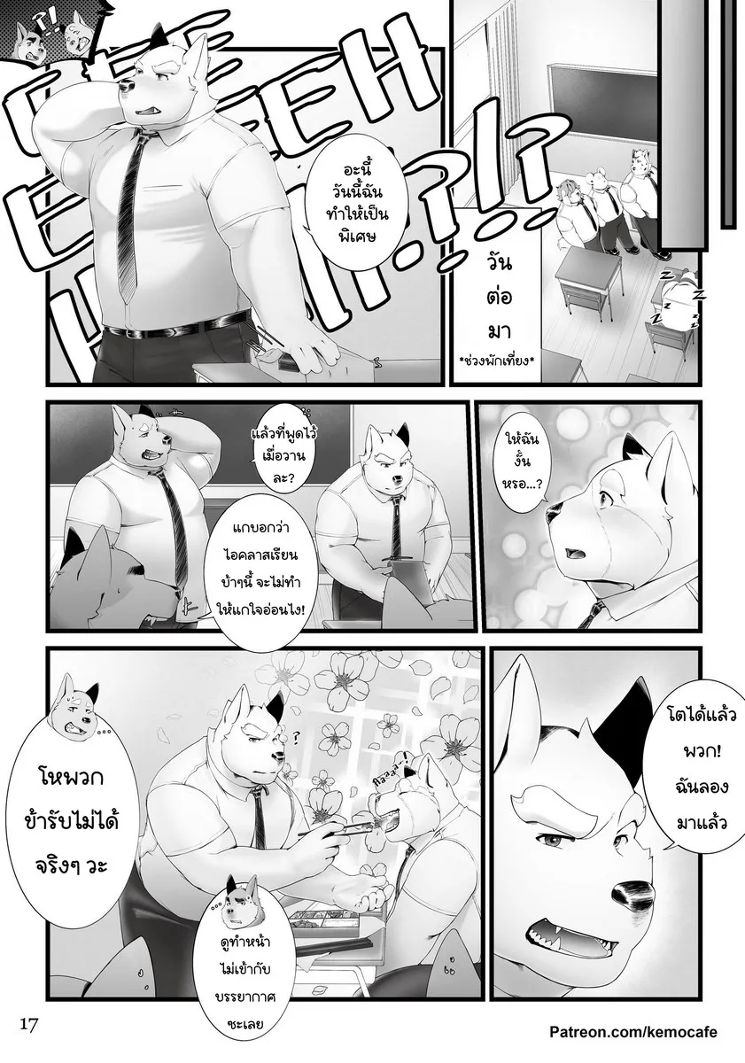 Page 17 of PE Plus+