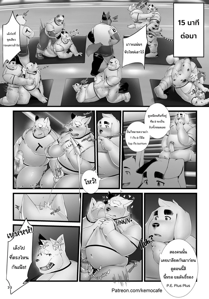 Page 19 of PE Plus+