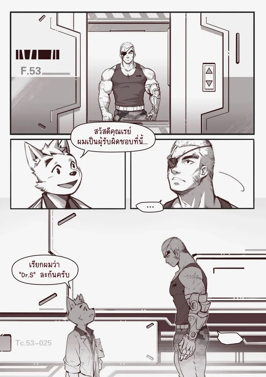 Page 3 of TRANSFURMATION