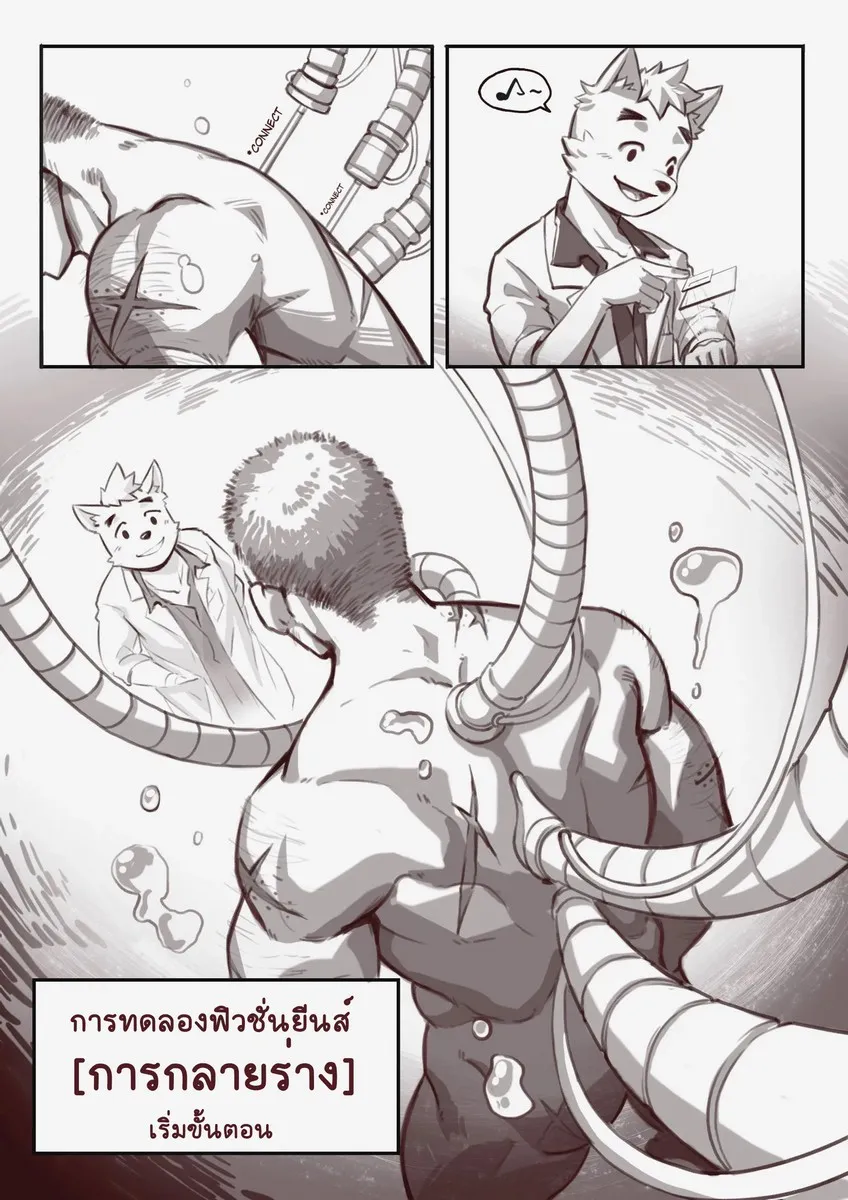 Page 13 of TRANSFURMATION