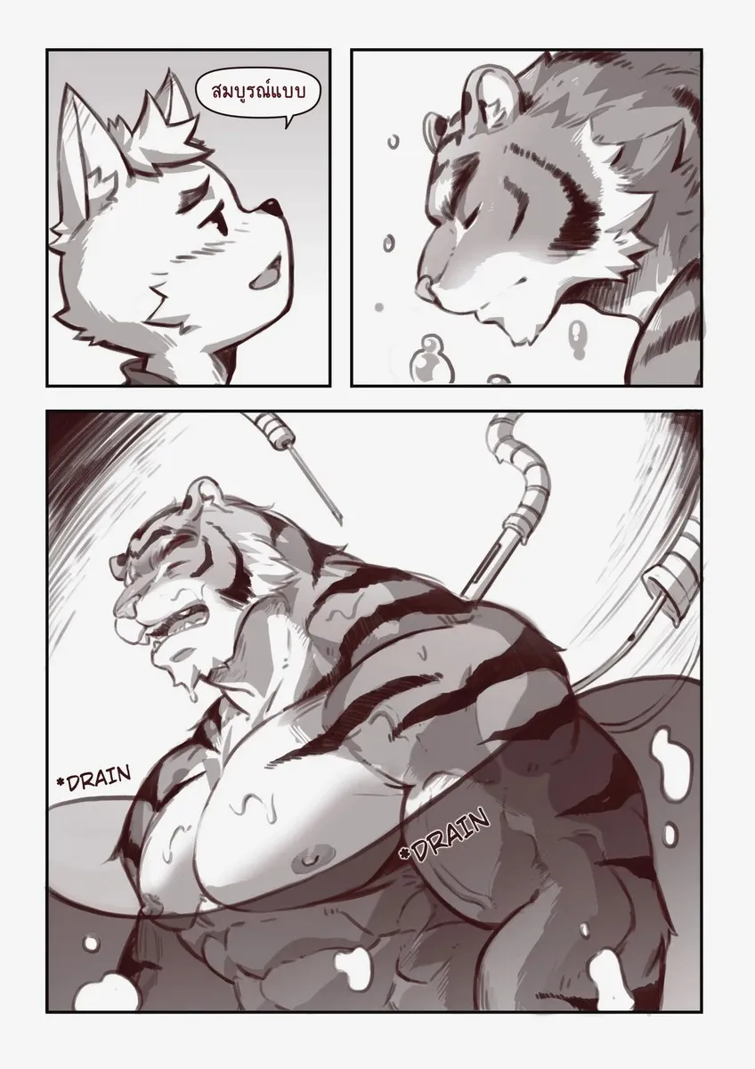 Page 18 of TRANSFURMATION