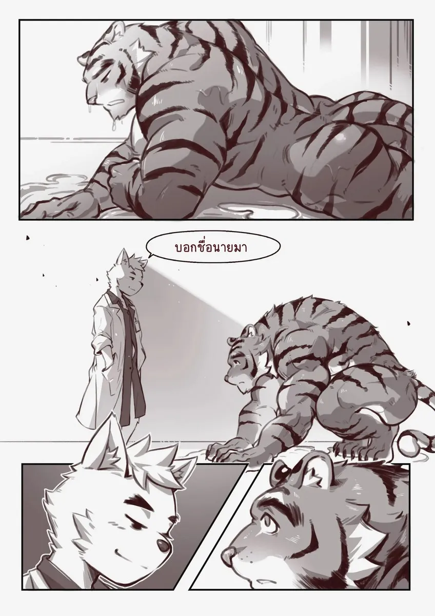 Page 19 of TRANSFURMATION